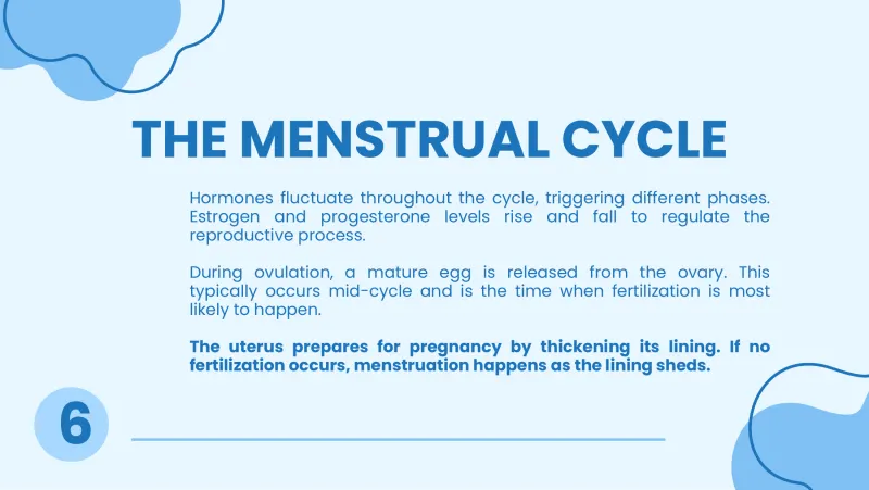 Slide 6: THE MENSTRUAL CYCLE Hormones fluctuate throughout the cycle, triggering different phases. Estrogen and progesterone levels rise and fall to regulate the reproductive process. Du…