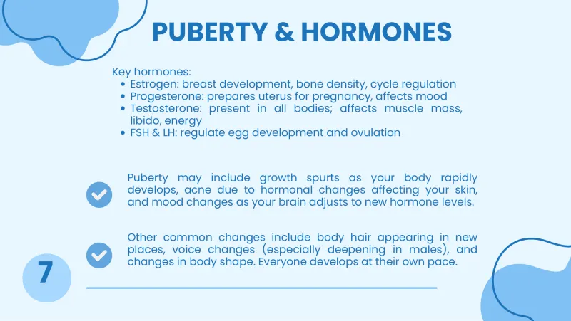 Slide 7: PUBERTY & HORMONES Key hormones: Estrogen: breast development, bone density, cycle regulation Progesterone: prepares uterus for pregnancy, affects mood Testosterone: present in …