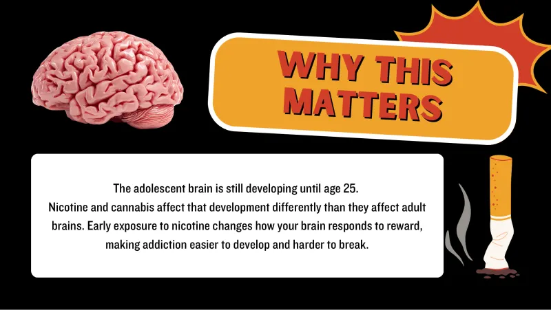Slide 3: WHY THIS MATTERS The adolescent brain is still developing until age 25. Nicotine and cannabis affect that development differently than they affect adult brains. Early exposure t…