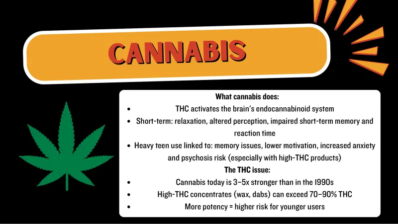 Slide 6: CANNABIS What cannabis does: THC activates the brain's endocannabinoid system Short-term: relaxation, altered perception, impaired short-term memory and reaction time Heavy teen…