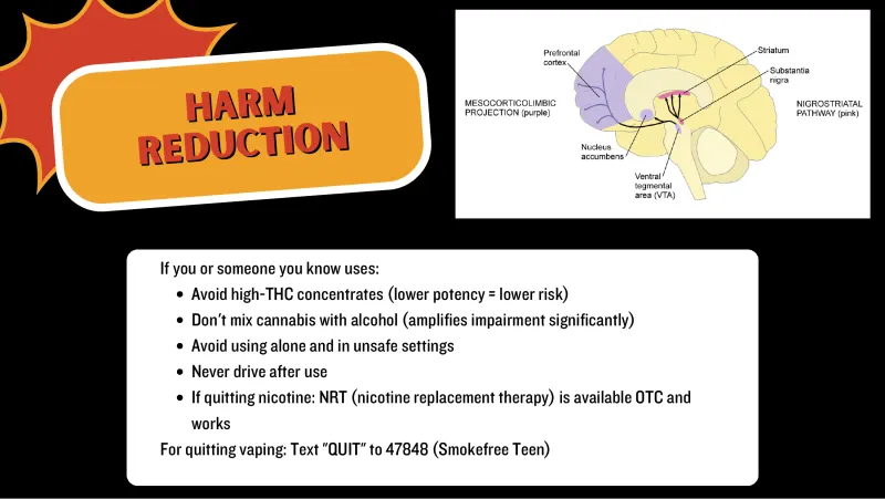 Slide 8: HARM REDUCTION If you or someone you know uses: Avoid high-THC concentrates (lower potency = lower risk) Don't mix cannabis with alcohol (amplifies impairment significantly) Avo…